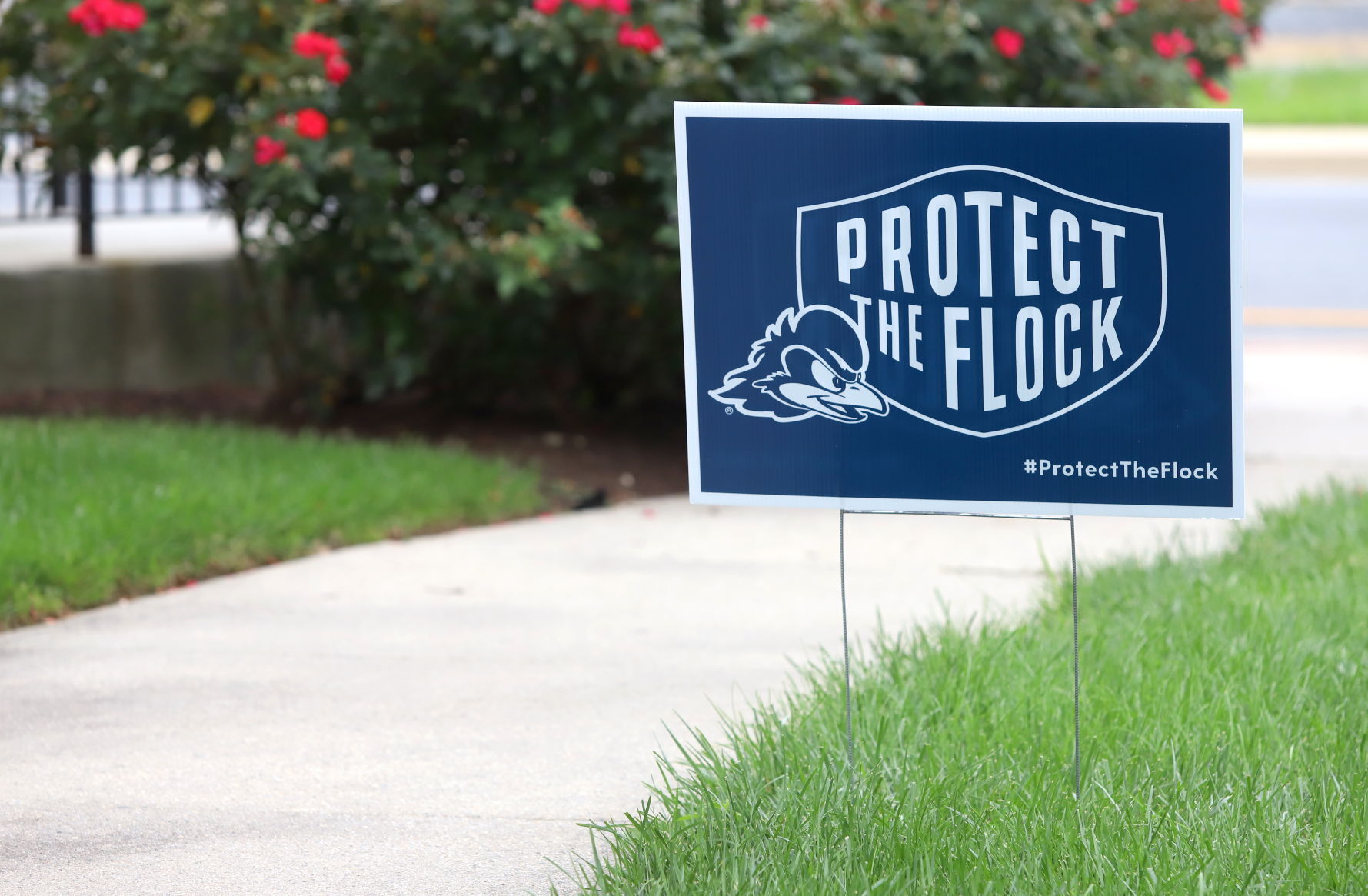 Protect the Flock